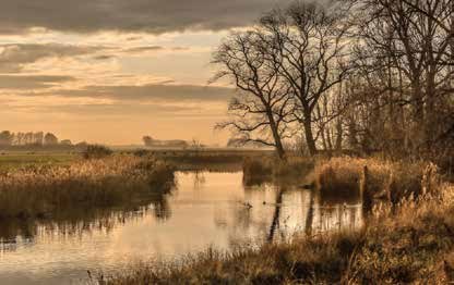 Natuurgebied Het Groote Gat bij Oostburg